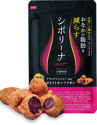 定期初回990円シボリーナ